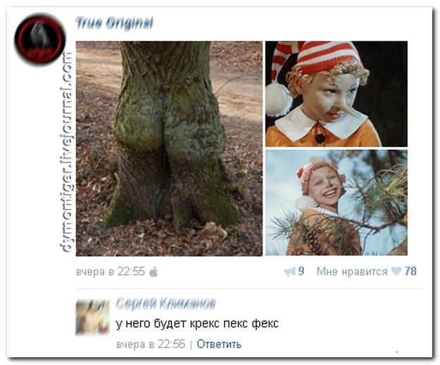 Смешные комментарии из социальных сетей