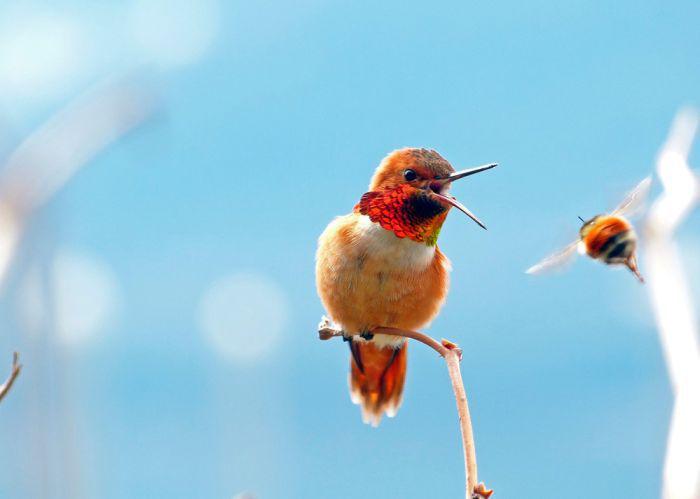 Прикольные картинки