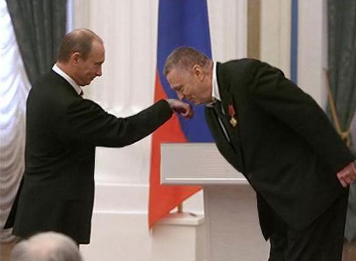 Прикольные картинки