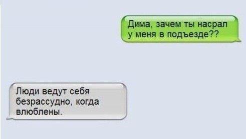 Прикольные картинки