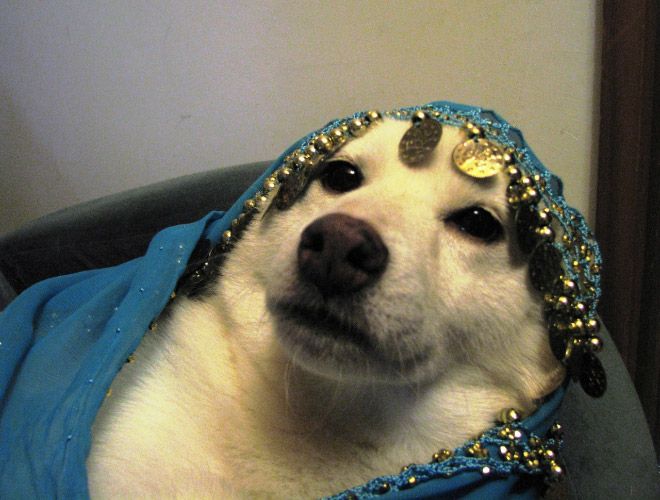 Россияне глазами иностранцев (32 фото)