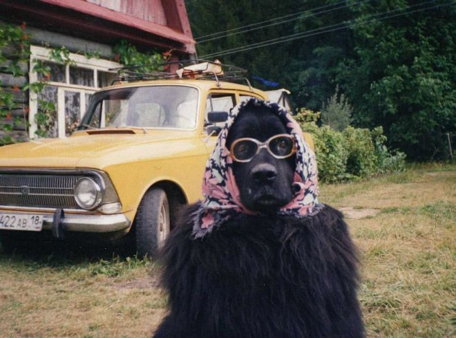 Россияне глазами иностранцев (32 фото)