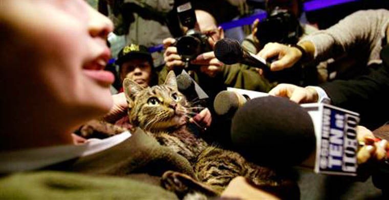 Иногда они возвращаются