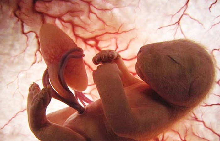 Самые распространенные мифы о беременности Самые распространенные мифы о беременности