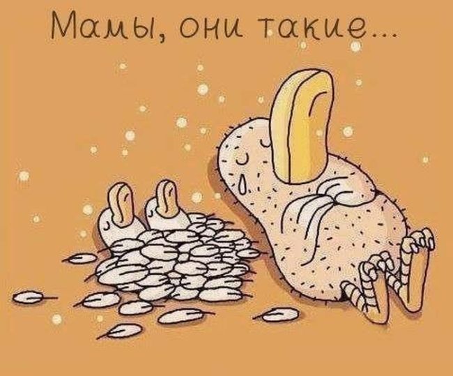 Смешные комиксы