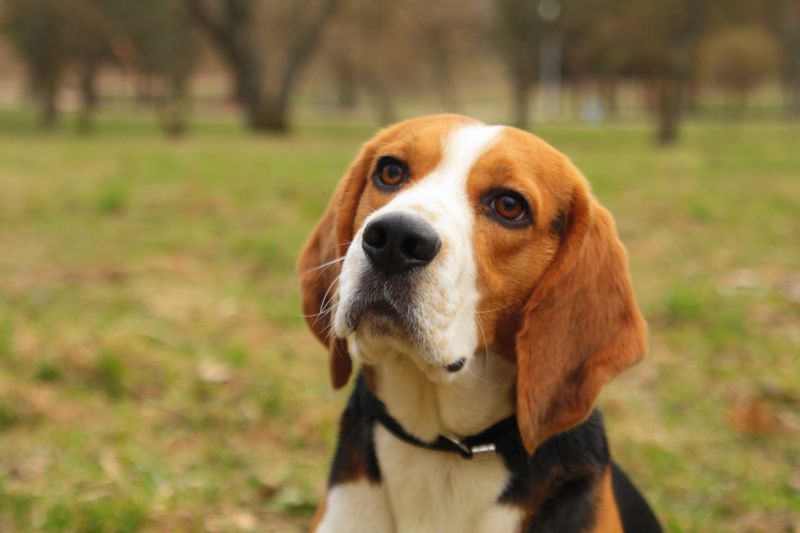 Реальные люди рассказывают об ужасных инцидентах, которые произошли в их маленьких и, на первый взгляд, «тихих» городках. Часть 1 Реальные люди рассказывают об ужасных инцидентах, которые произошли в их маленьких и, на первый взгляд, «тихих» городках. Часть 1