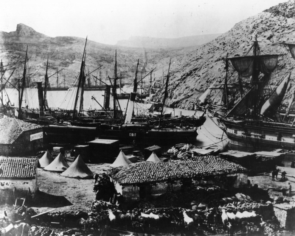 Портреты Крымской войны Портреты Крымской войны