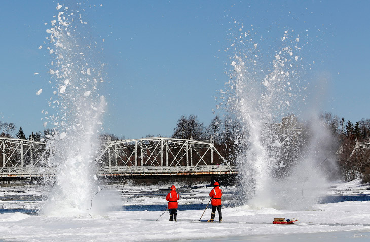Весенние цветы Весенние цветы