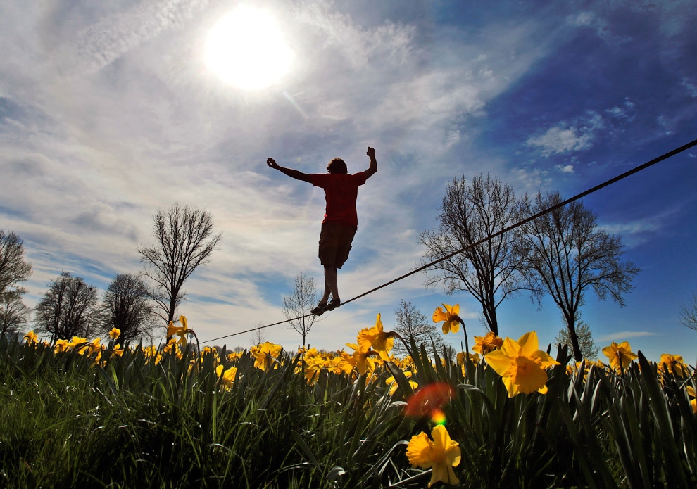 Весенние цветы Весенние цветы