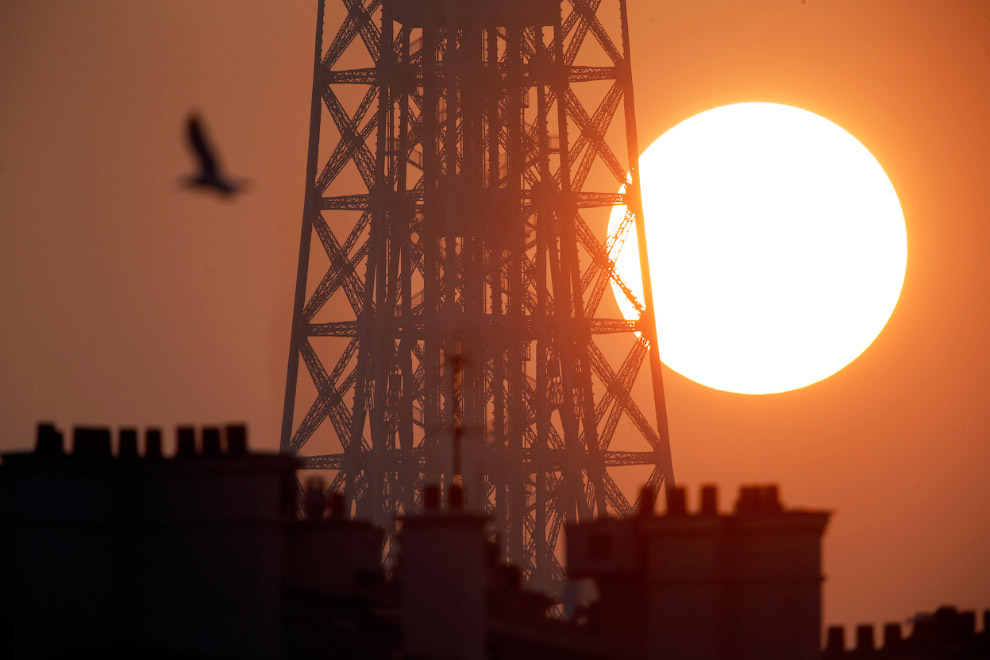 Весенние цветы Весенние цветы