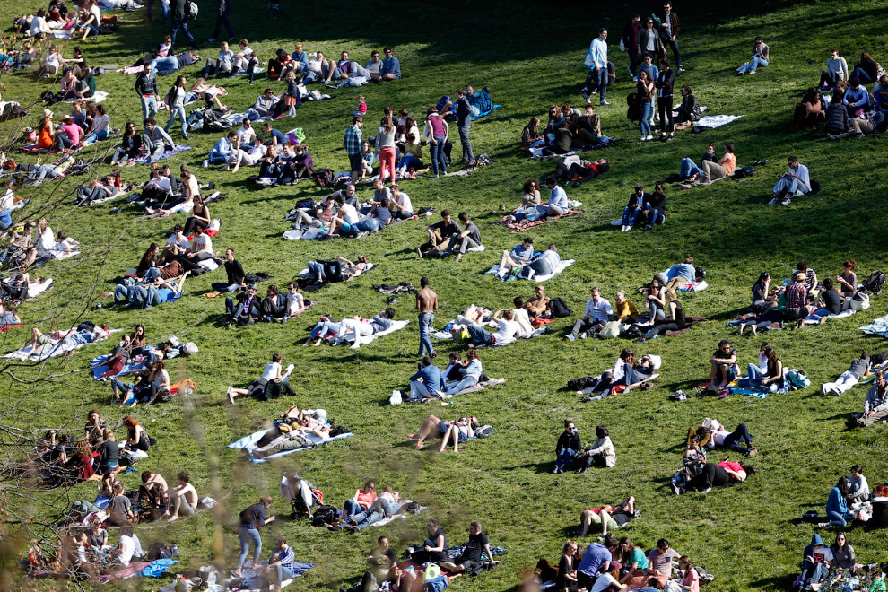 Весенние цветы Весенние цветы