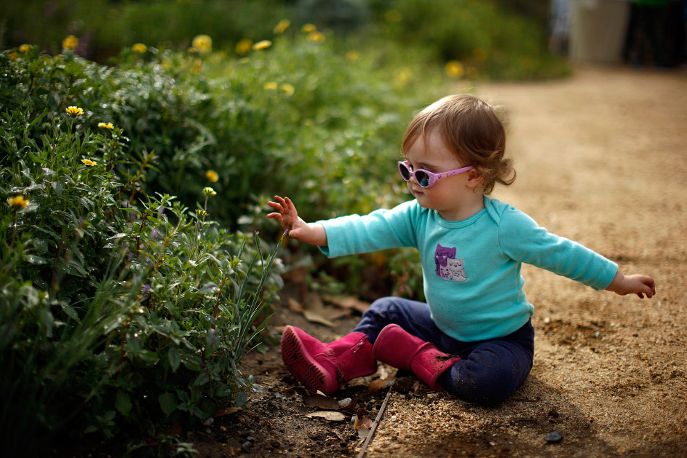 Весенние цветы Весенние цветы