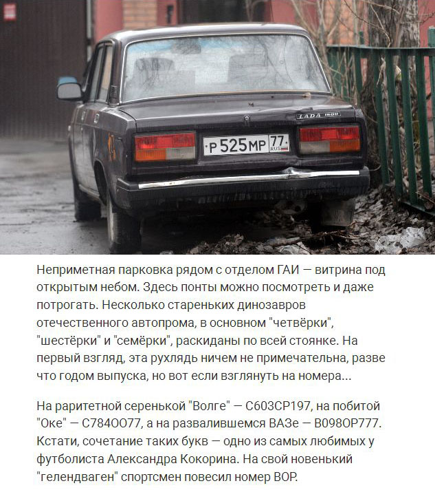 Как устроен бизнес по продаже красивых номеров