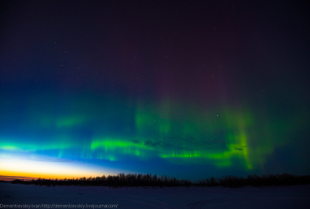 Северное сияние в тундре