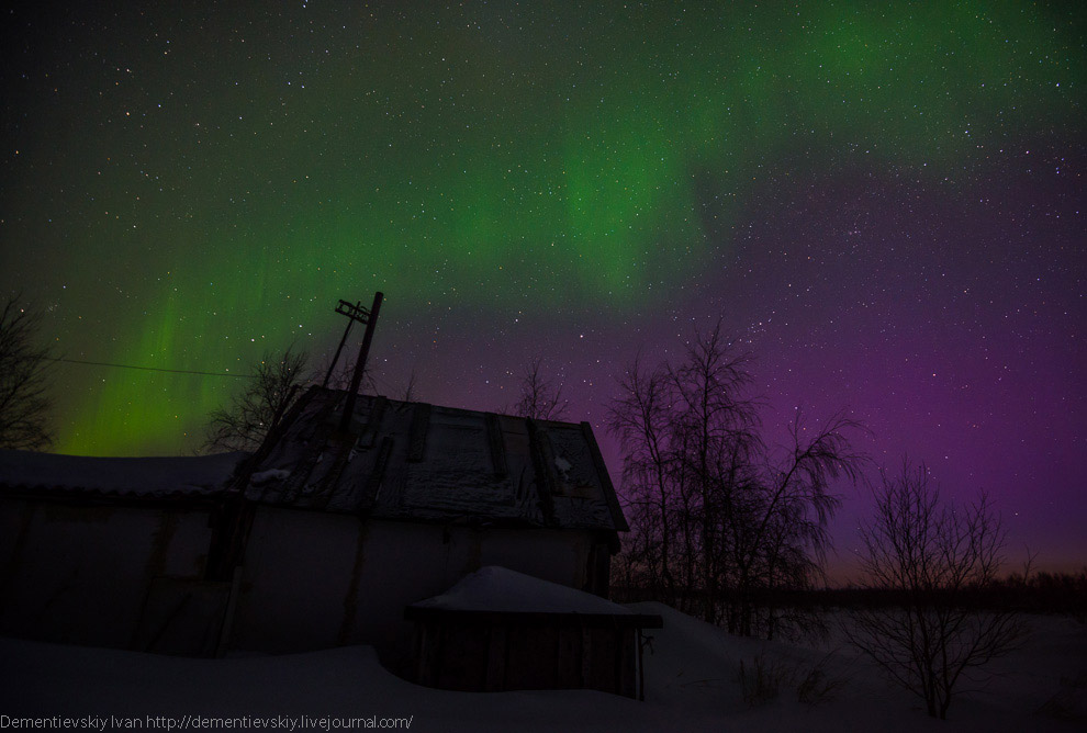Северное сияние в тундре
