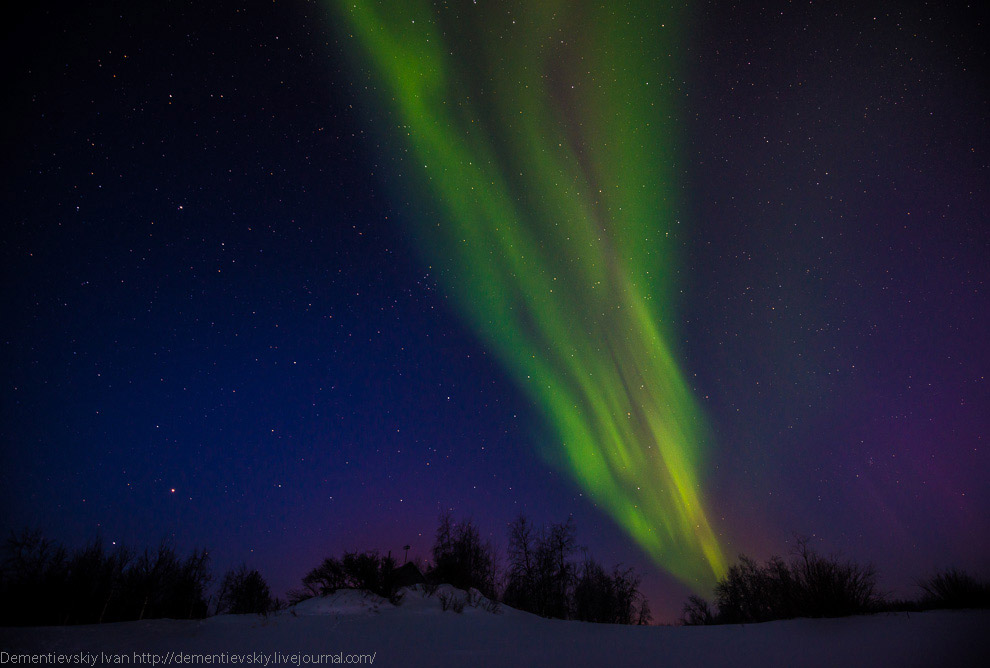 Северное сияние в тундре