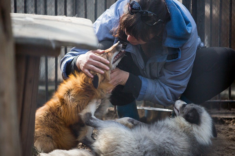 Весенние хлопоты в зоопарке
