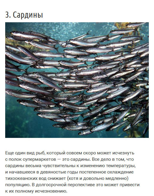 Ресурсы нашей планеты, которых мы можем лишиться в скором времени