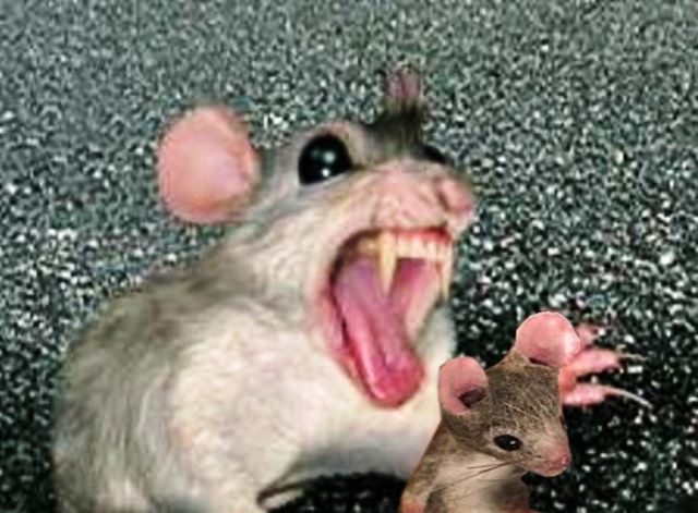 Ученый создал рай на земле