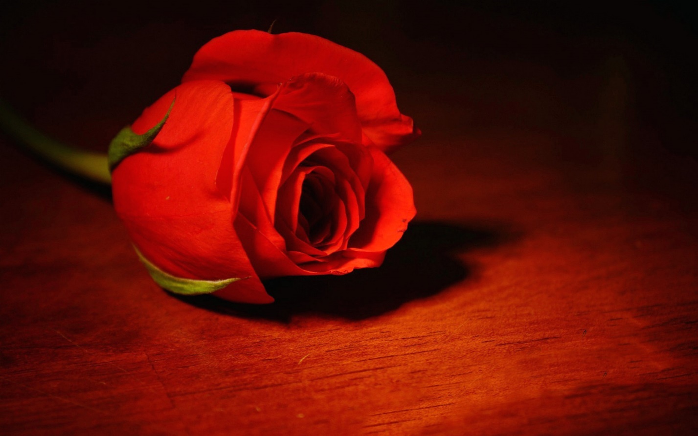 Знаменитости, которые умерли трагической смертью