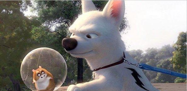 Факты о мультфильмах