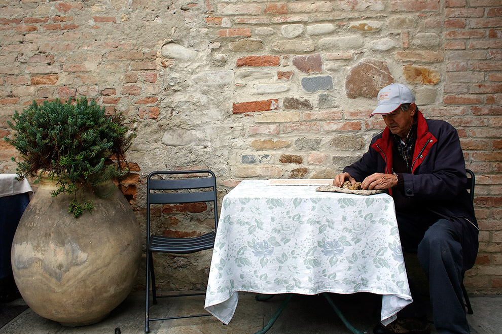 Грибы трюфели