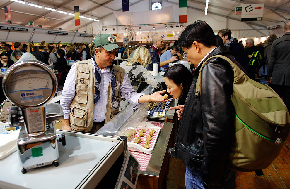 Грибы трюфели