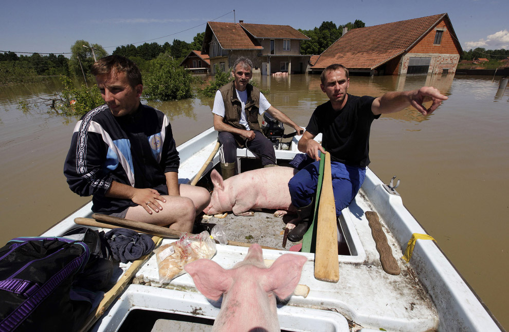 Крупнейшее наводнение на Балканах за 120 лет
