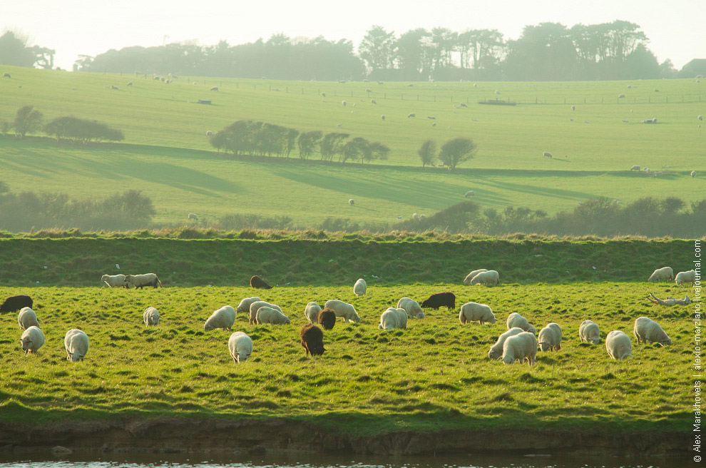 Семь Сестер в Англии Семь Сестер в Англии