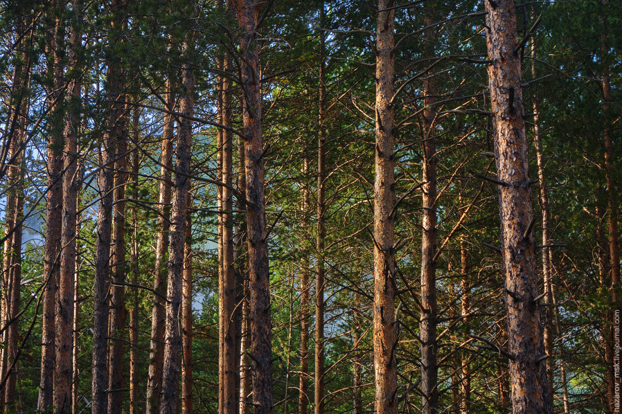 Восхождение на Эльбрус Восхождение на Эльбрус