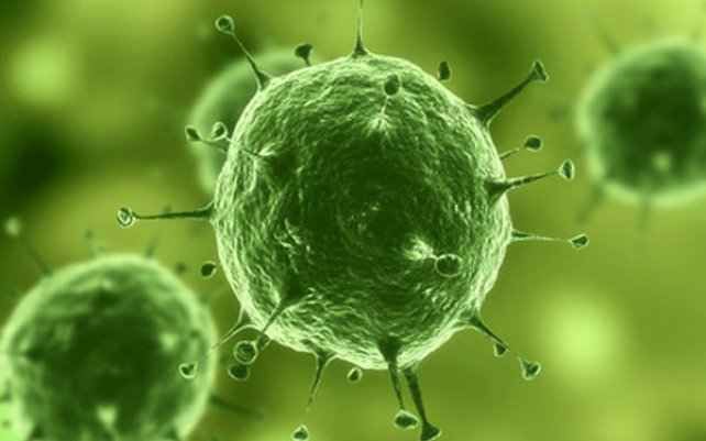 Эволюция человека еще продолжается (15 фото) Эволюция человека еще продолжается (15 фото)