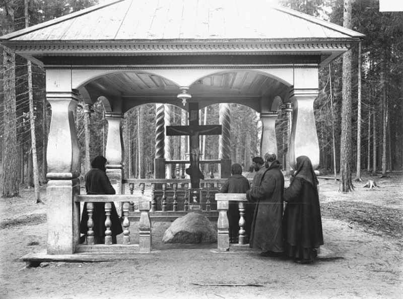 Причины остаться в России (7 фото)