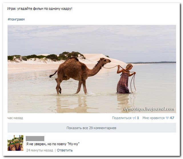 Смешные комментарии из социальных сетей