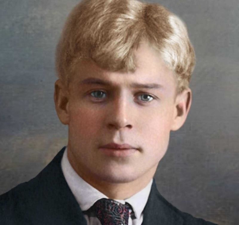 Гений не без порока: болезни великих писателей Гений не без порока: болезни великих писателей