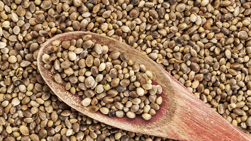 Семена, которые сделают нас всемогущими