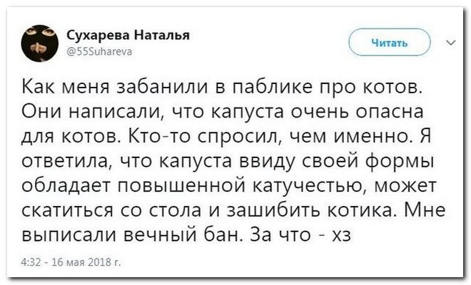 Забавные комментарии из социальных сетей