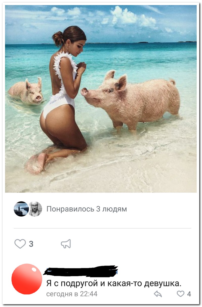 Забавные комментарии из социальных сетей