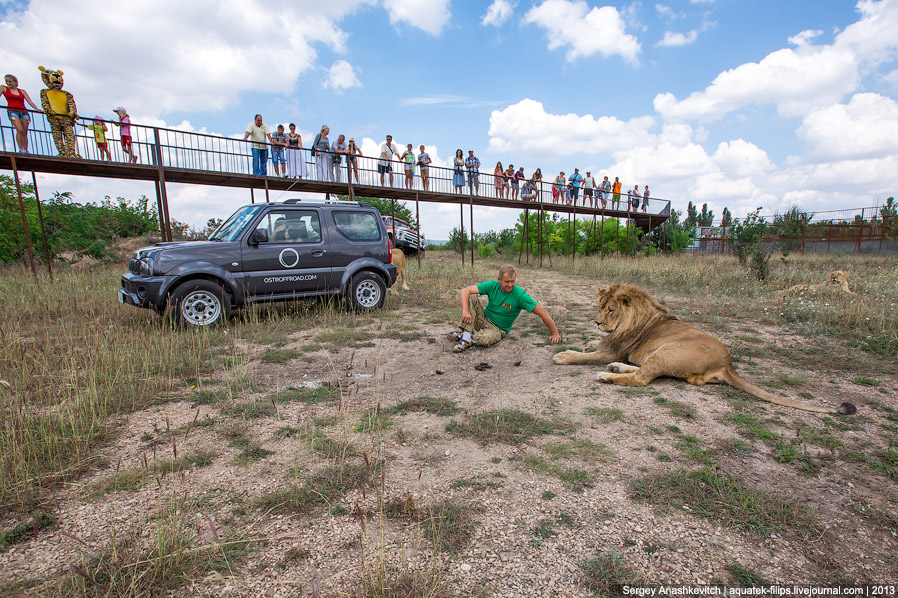 Парк львов в Крыму Парк львов в Крыму