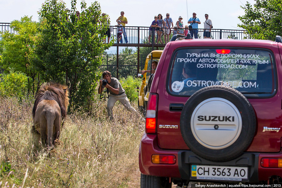 Парк львов в Крыму Парк львов в Крыму
