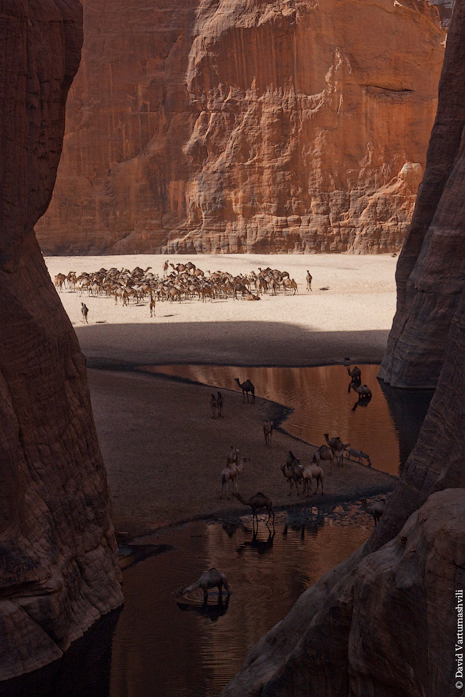 Гельта д’Аршей в пустыне Сахара