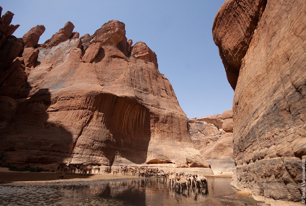 Гельта д’Аршей в пустыне Сахара
