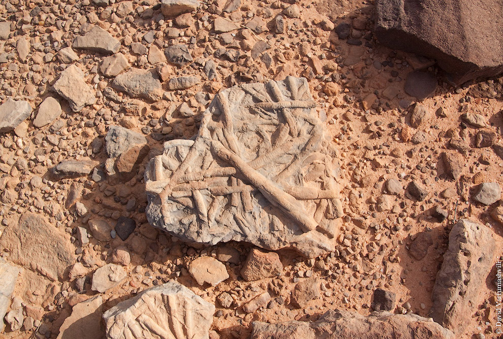 Гельта д’Аршей в пустыне Сахара