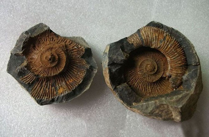 10 фактов про Эверест, которых вы еще не знали 10 фактов про Эверест, которых вы еще не знали