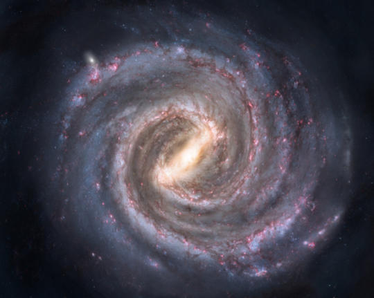 Превосходные примеры симметрии в природе