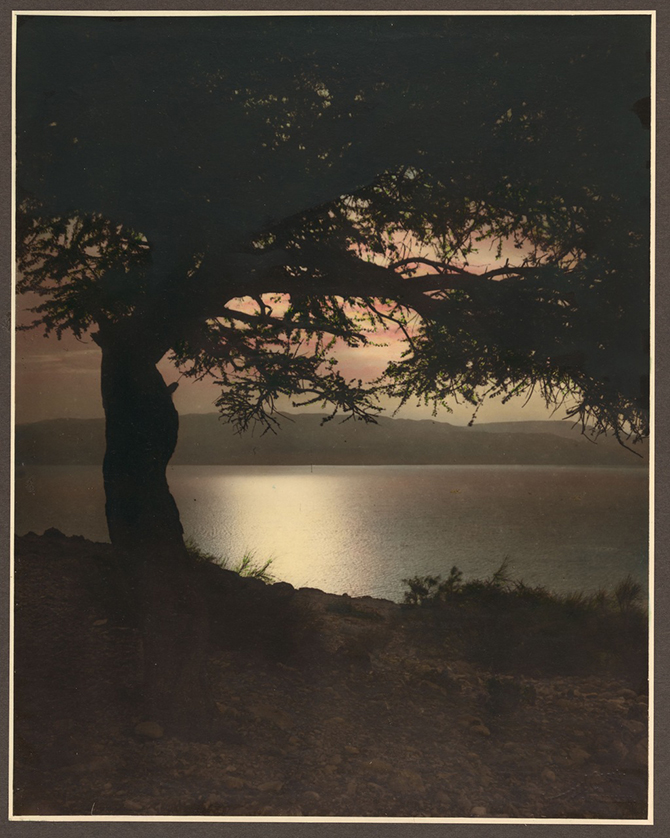 Палестина 1919 года в цвете