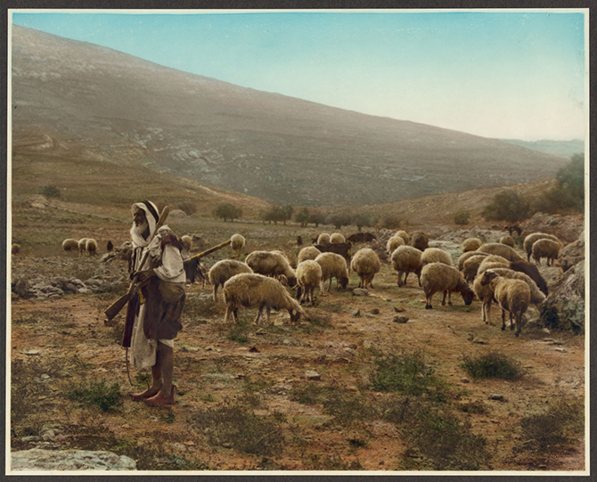 Палестина 1919 года в цвете