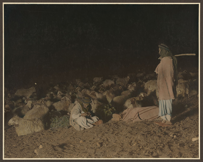 Палестина 1919 года в цвете