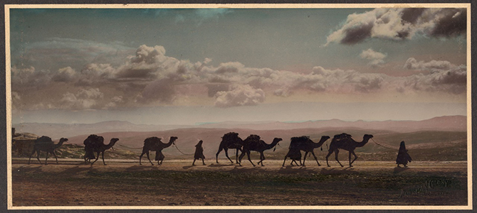 Палестина 1919 года в цвете