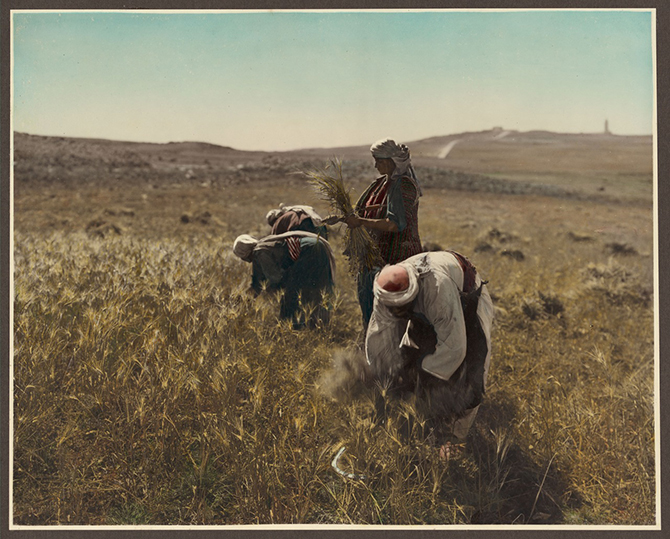 Палестина 1919 года в цвете