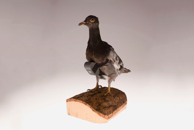 Уникальные приспособления ЦРУ и КГБ